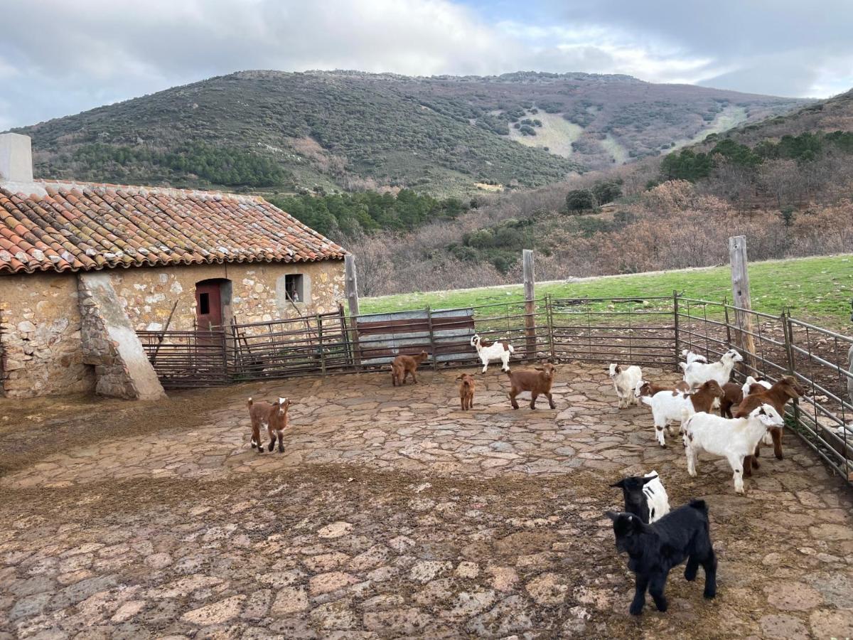Casa Rural Las Lanchas Hontanar Exterior photo